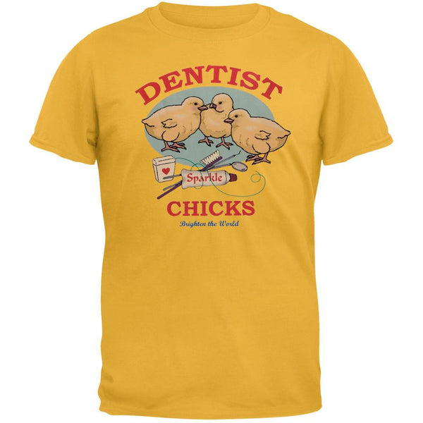Dentist Chicks Brighten The World Adult T-Shirt