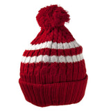 Detroit Red Wings - Logo Blue Bird Adult Pom Pom Knit Hat