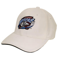 Richmond Riverdogs - Logo Adult Flexfit Baseball Cap